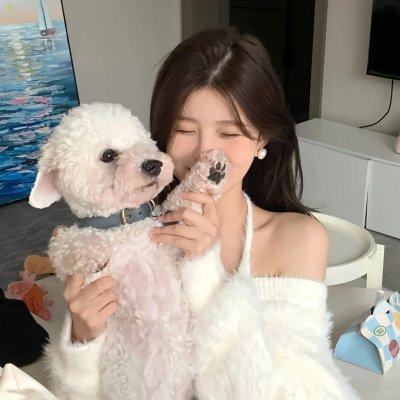 婚前协议